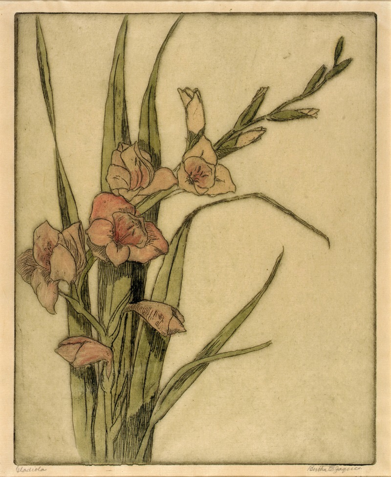 Bertha E. Jaques - Gladiola