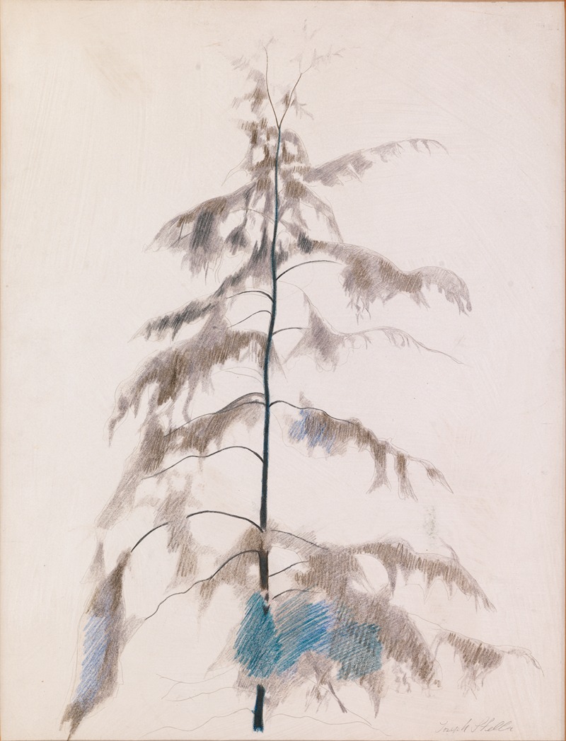 Joseph Stella - Pine Tree
