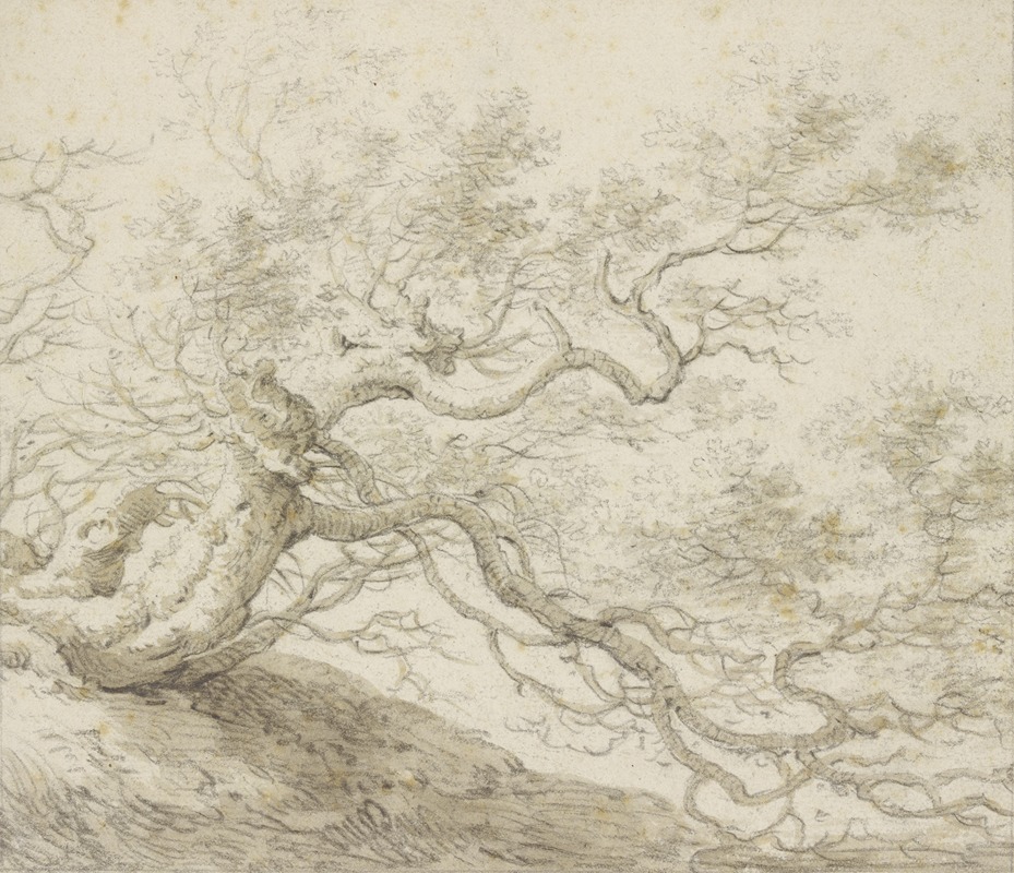 Stunted tree by Herman Saftleven III - Artvee