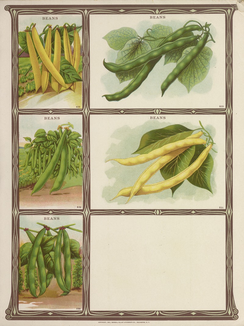 Genesee Valley Lithograph Co. - Beans