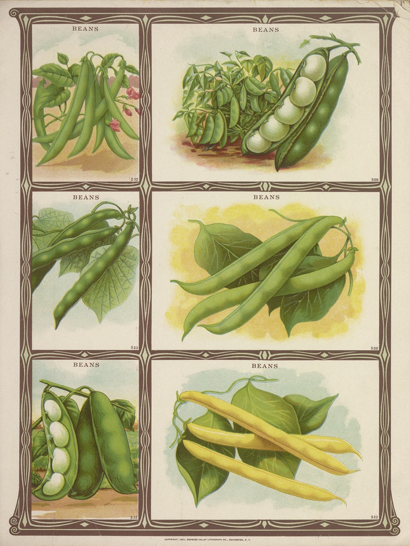 Genesee Valley Lithograph Co. - Beans
