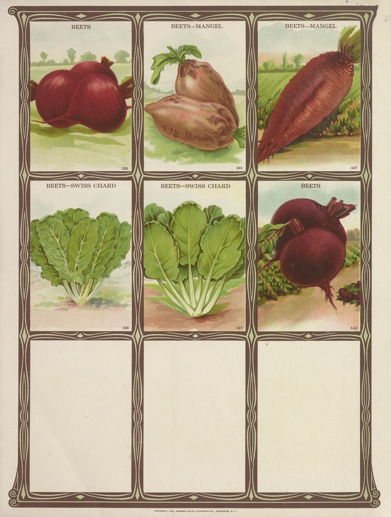 Genesee Valley Lithograph Co. - Beets