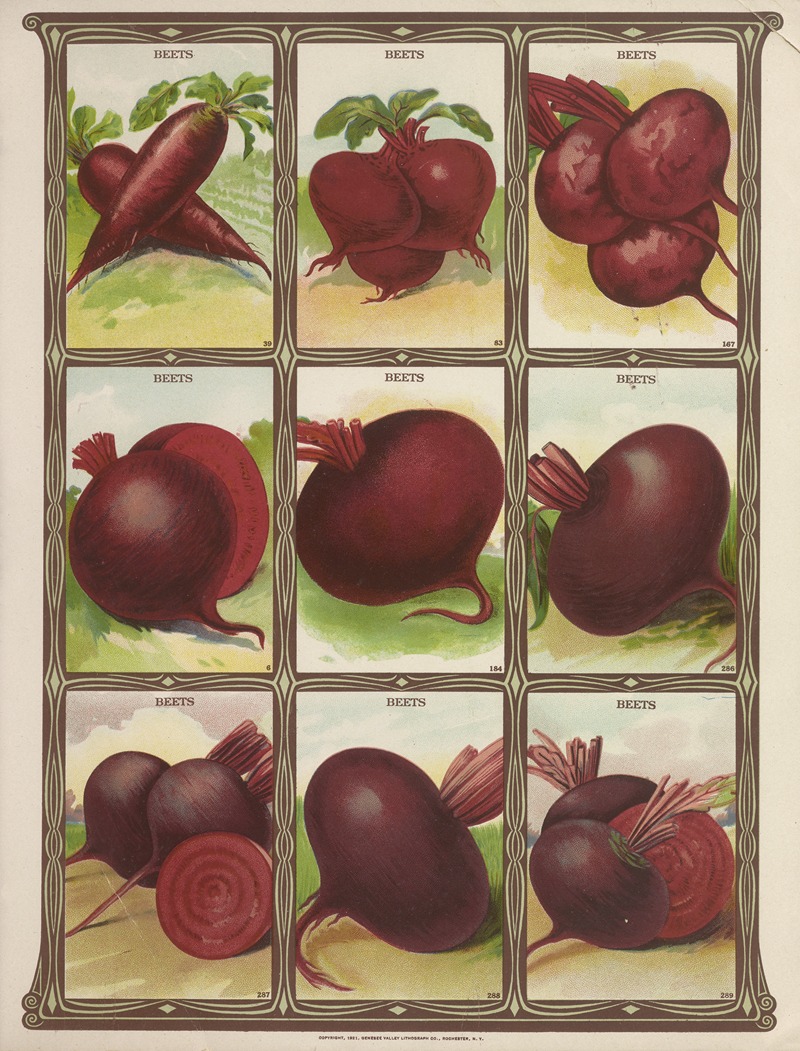 Genesee Valley Lithograph Co. - Beets