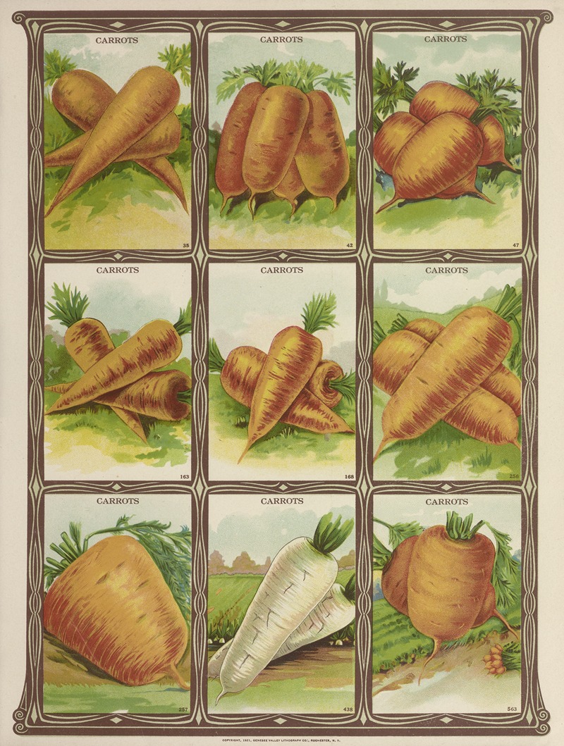 Genesee Valley Lithograph Co. - Carrots