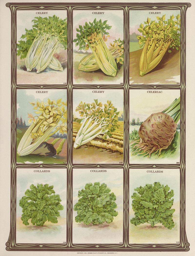 Genesee Valley Lithograph Co. - Celery, Celeriac, Collards