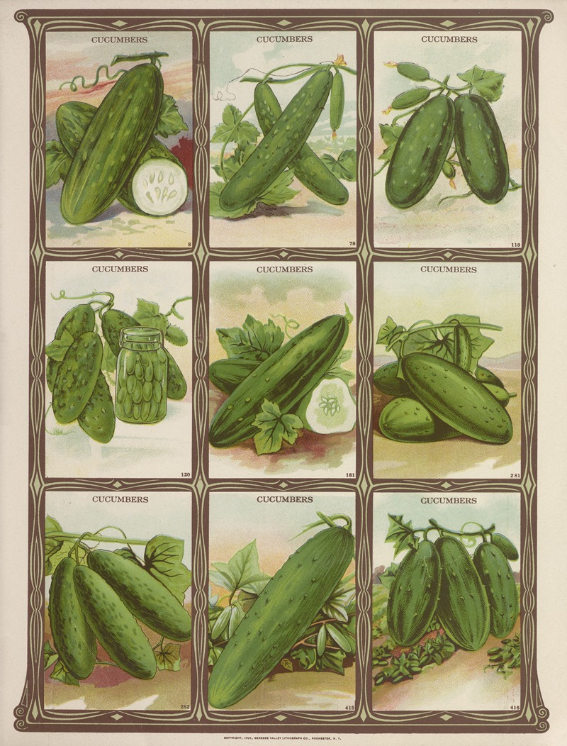 Genesee Valley Lithograph Co. - Cucumbers