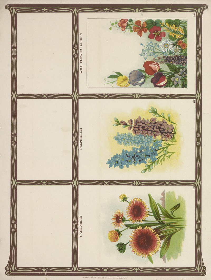 Genesee Valley Lithograph Co. - Gaillardia, Delphinium, Wtld flower garden