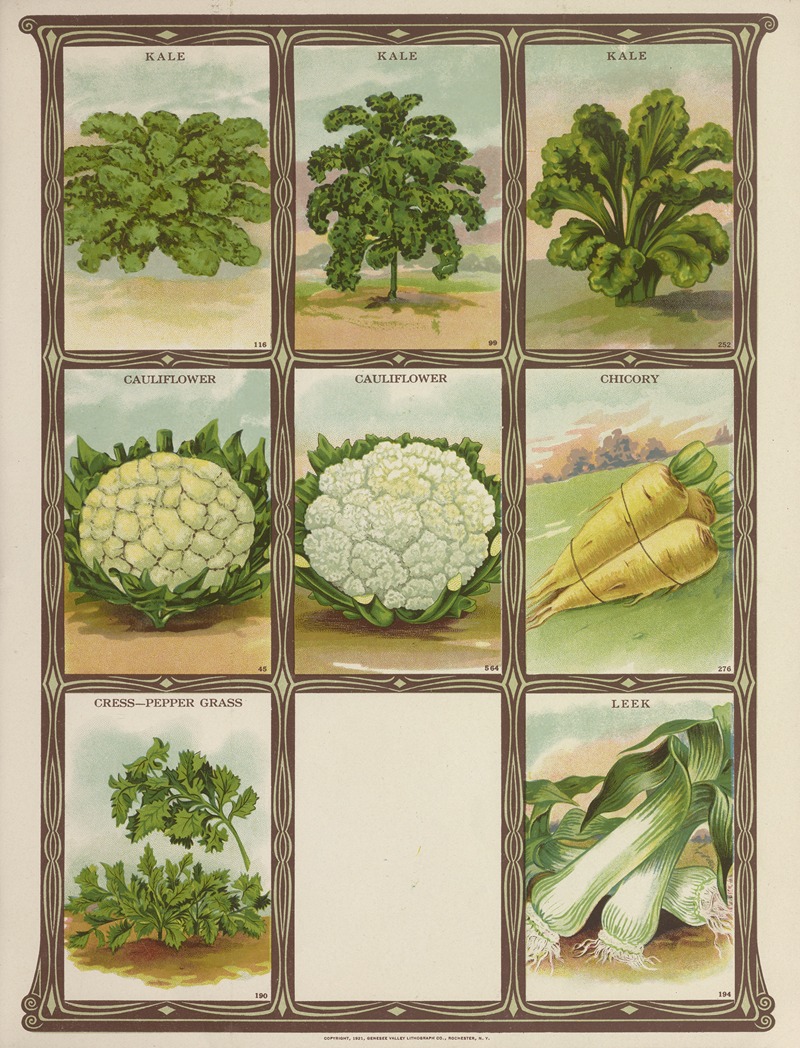 Genesee Valley Lithograph Co. - Kale, Cauliflower, Chicory, Cress, Leek