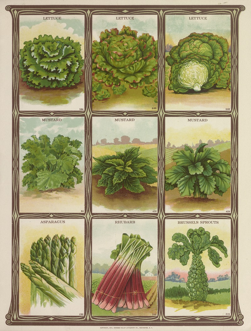 Genesee Valley Lithograph Co. - Lettuce, Mustard, Asparagus, Rhubarb, Brussel Sprouts