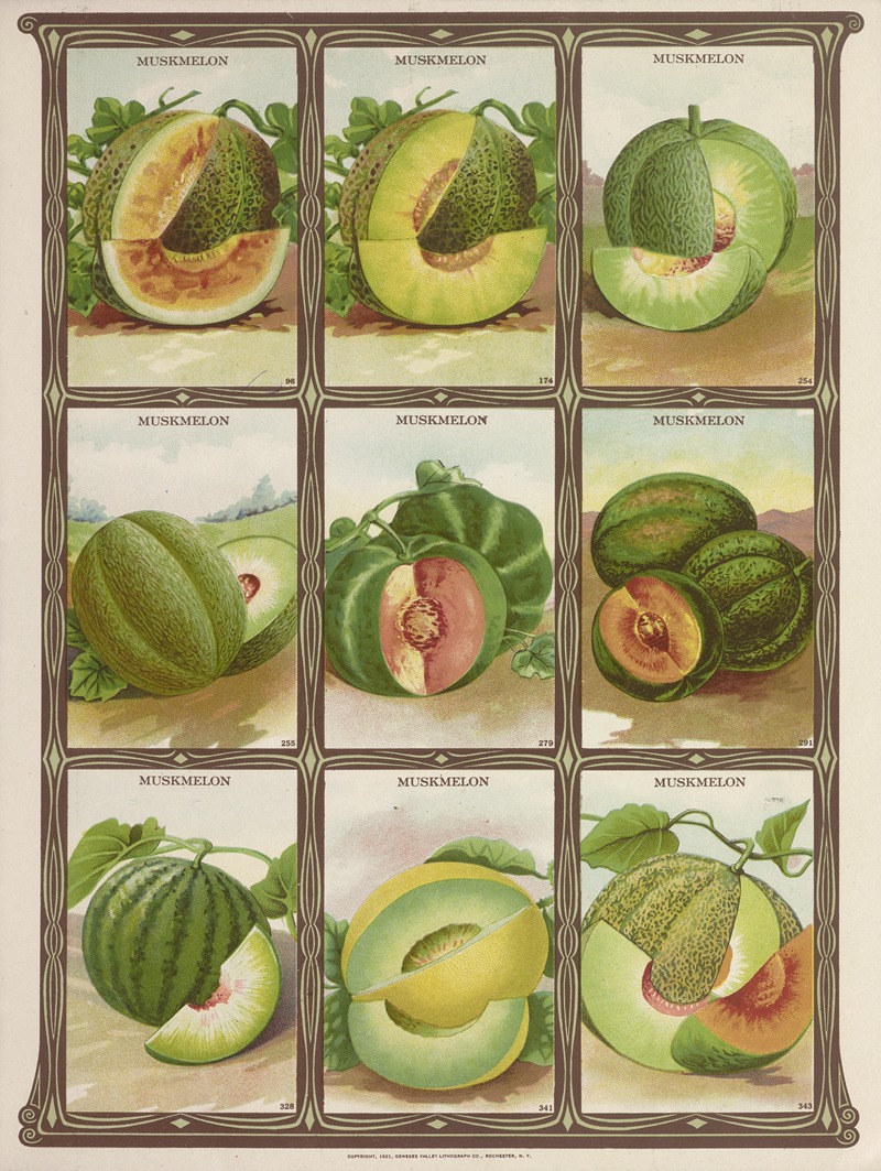 Genesee Valley Lithograph Co. - Muskmelon