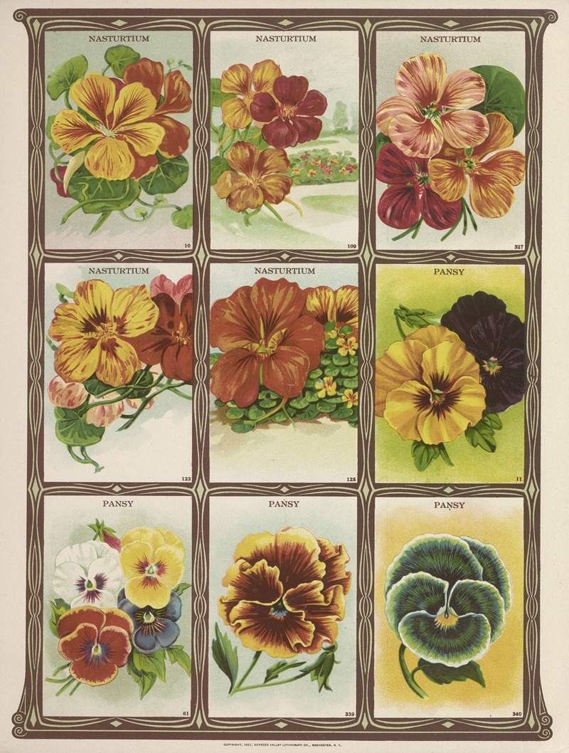 Genesee Valley Lithograph Co. - Nasturtium, Pansy