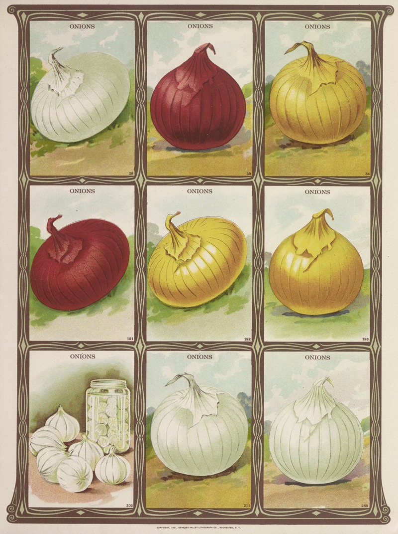 Genesee Valley Lithograph Co. - Onions