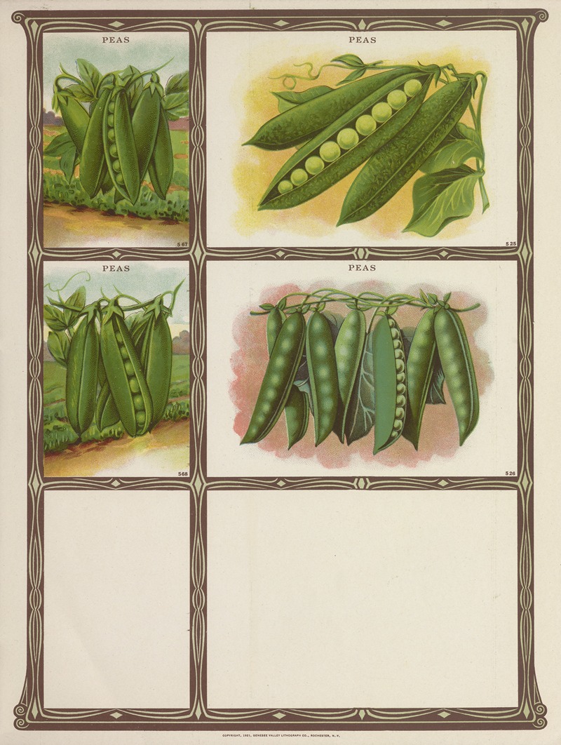 Genesee Valley Lithograph Co. - Peas