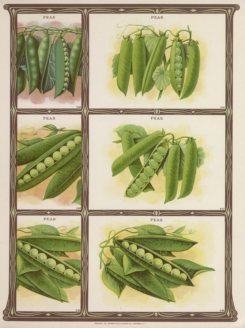 Genesee Valley Lithograph Co. - Peas