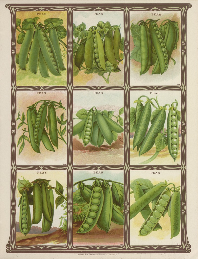 Genesee Valley Lithograph Co. - Peas