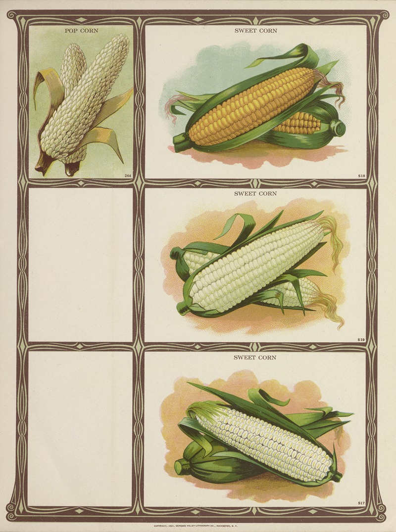 Genesee Valley Lithograph Co. - Pop Corn, Sweet Corn