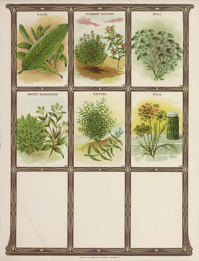 Genesee Valley Lithograph Co. - Sage, Summer Savory, Dill, Summer Marjoram, Thyme