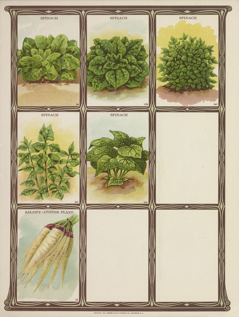 Genesee Valley Lithograph Co. - Spinach, Salsify-Oyster Plant