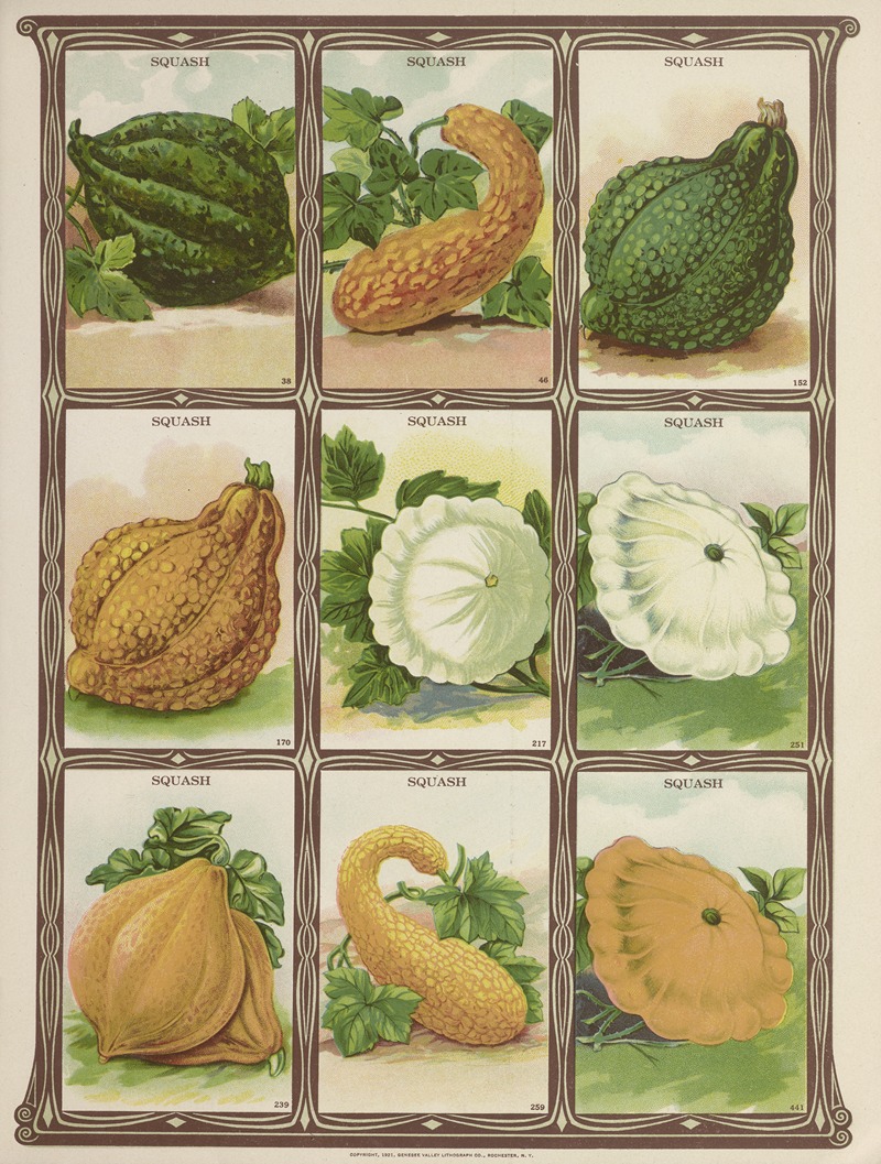 Genesee Valley Lithograph Co. - Squash