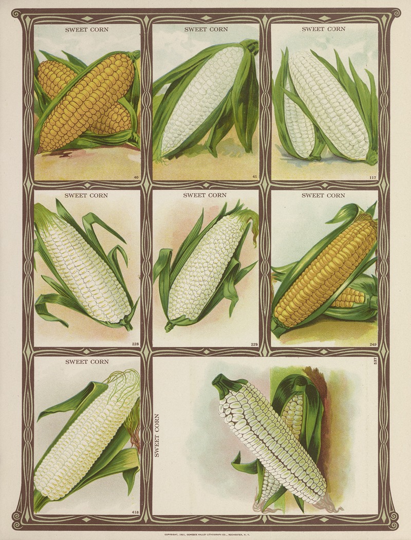 Genesee Valley Lithograph Co. - Sweet Corn