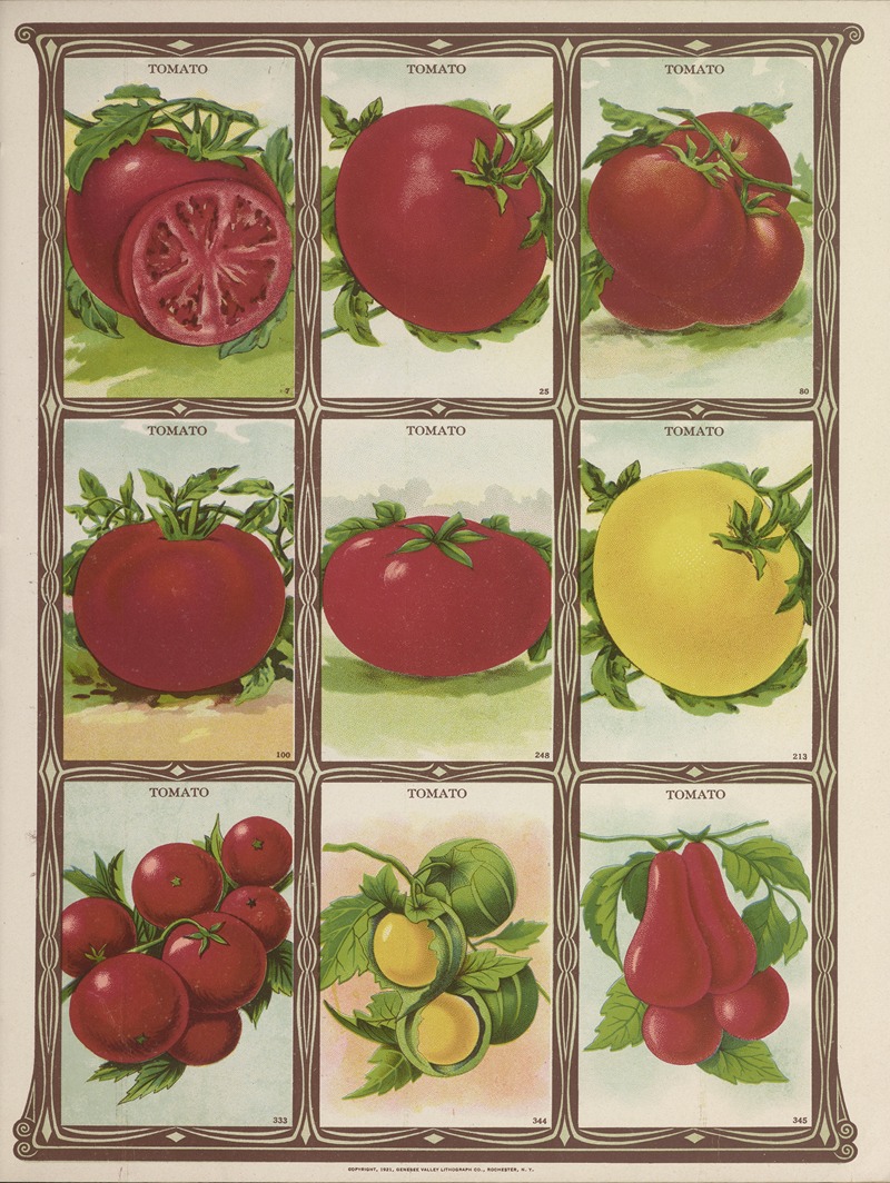 Genesee Valley Lithograph Co. - Tomato