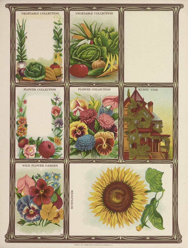 Genesee Valley Lithograph Co. - Vegetable and Flower Collection