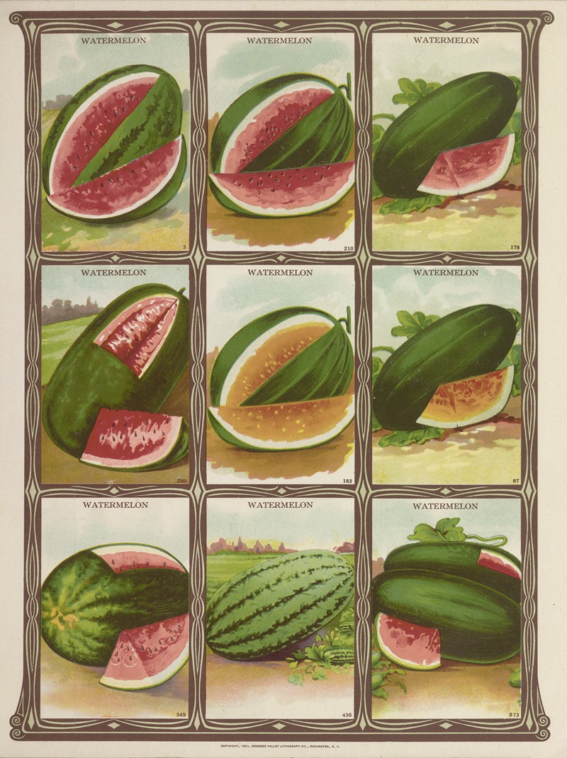 Genesee Valley Lithograph Co. - Watermelon