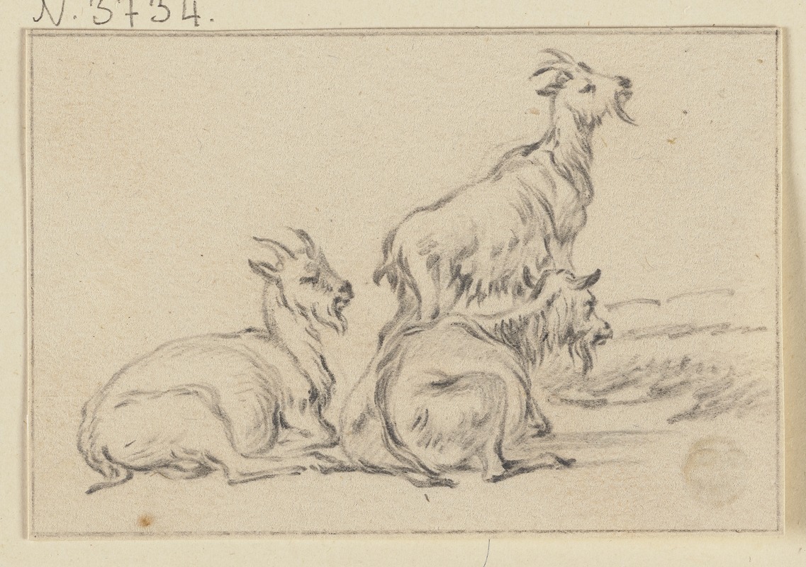 Jacob Cats - Three goats