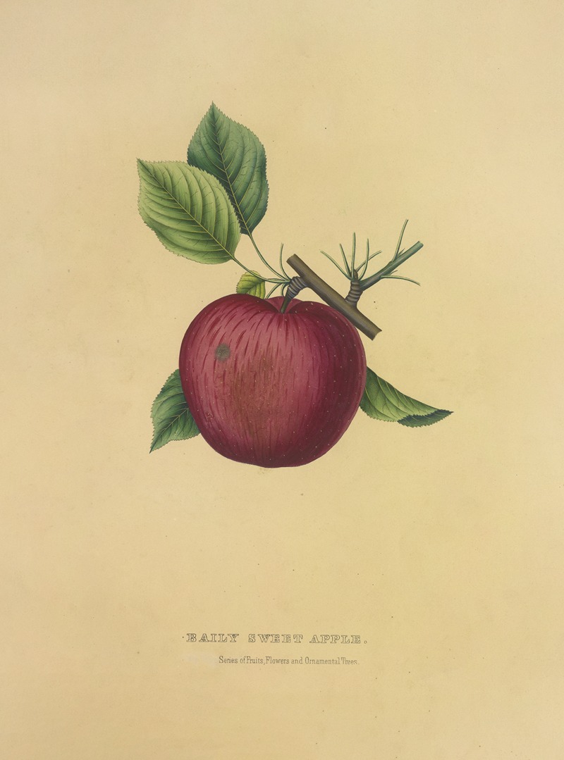 Dellon Marcus Dewey - Baily Sweet Apple