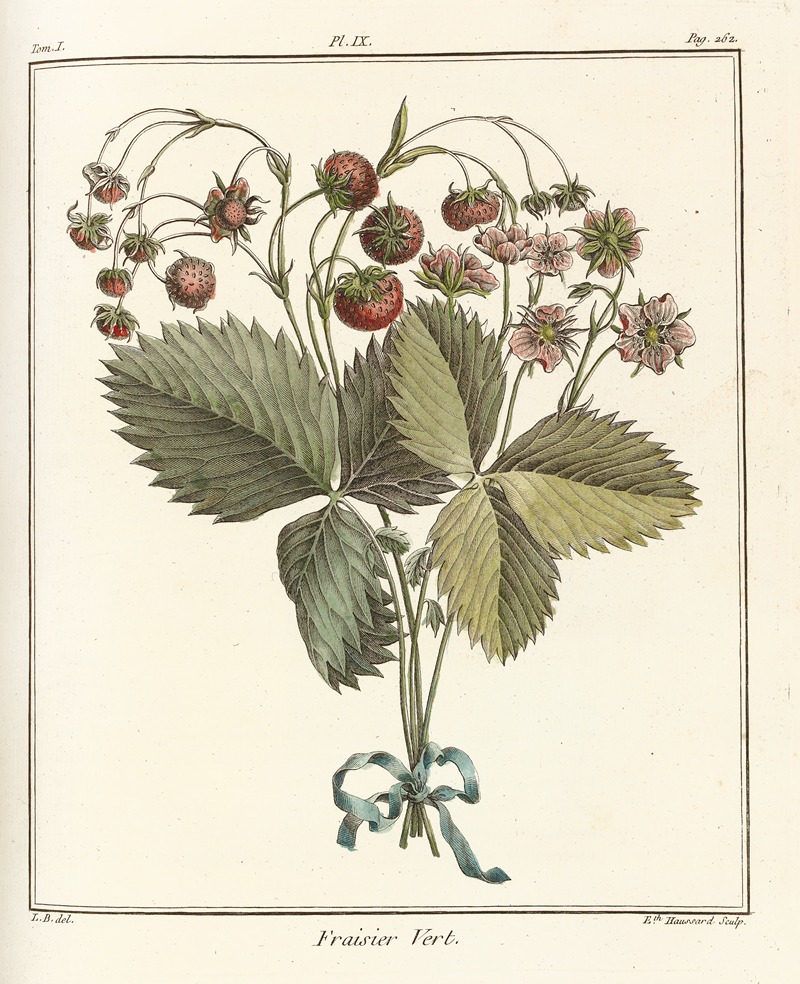 Henri-Louis Duhamel du Monceau - Traité des arbres fruitiers Pl.39