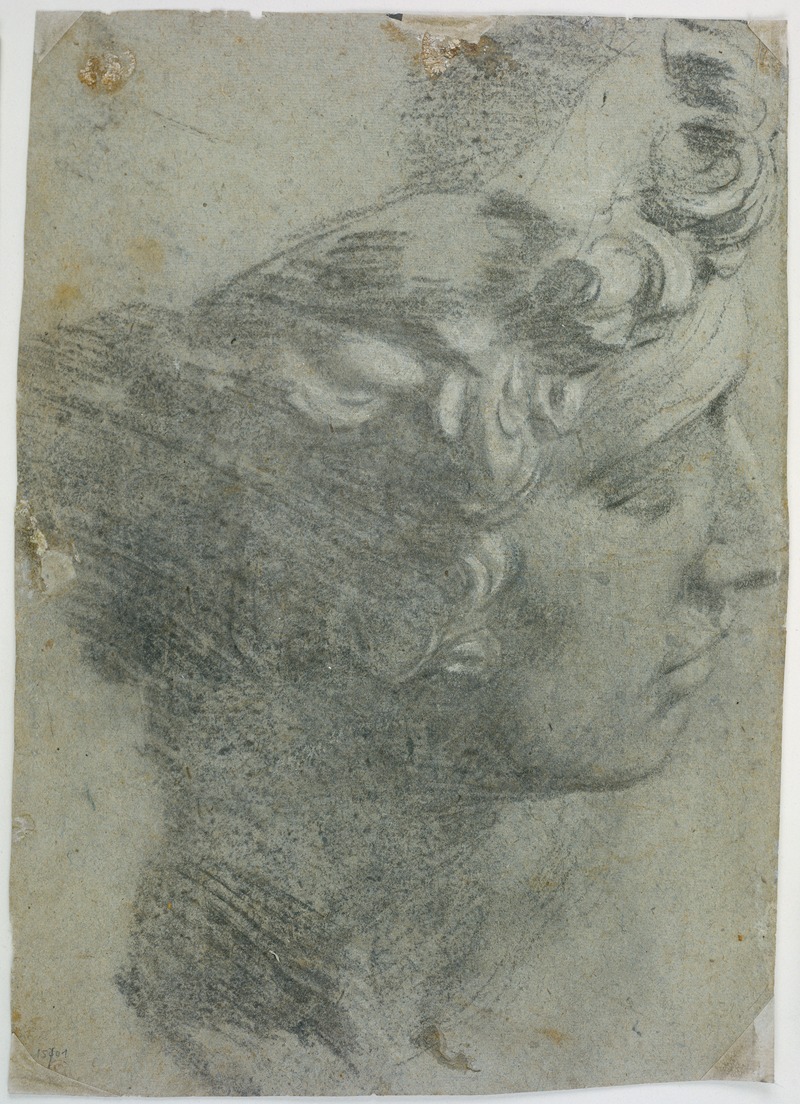 Jacopo Tintoretto - Study after the head of Michelangelo’s ‘Giuliano de’Medici’