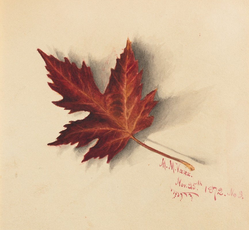 Mary Vaux Walcott - Autumn Leaf