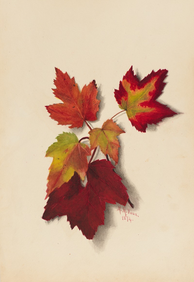 Mary Vaux Walcott - Autumn Leaves