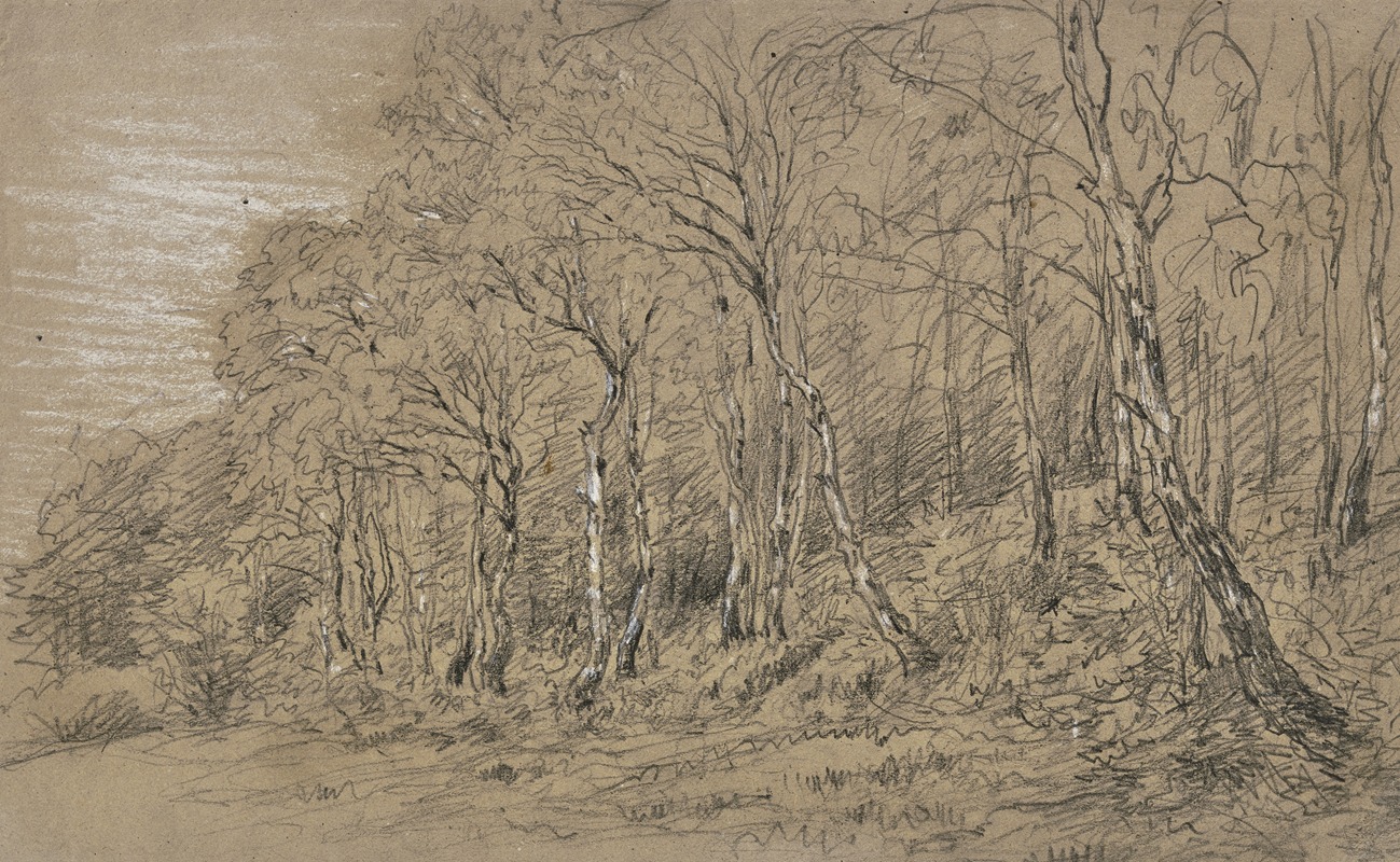 Jakob Maurer - Birch trees at the edge of the forest.