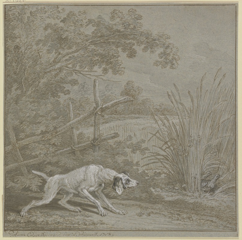 Johann Elias Ridinger - Vorsteherhund auf Rebhühner