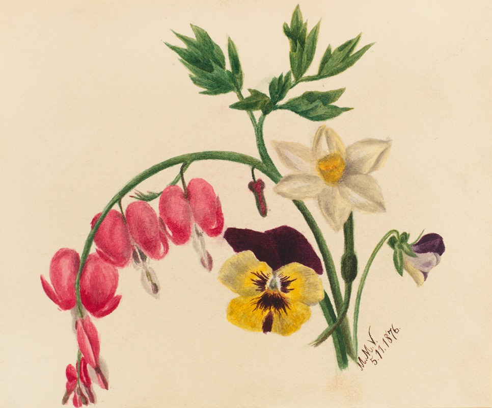 Mary Vaux Walcott - Mixed Flowers