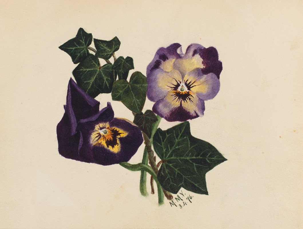 Mary Vaux Walcott - Pansies and Ivy