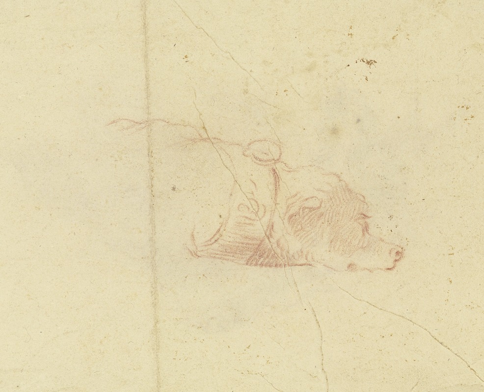 Johann Heinrich Roos - A dog’s head