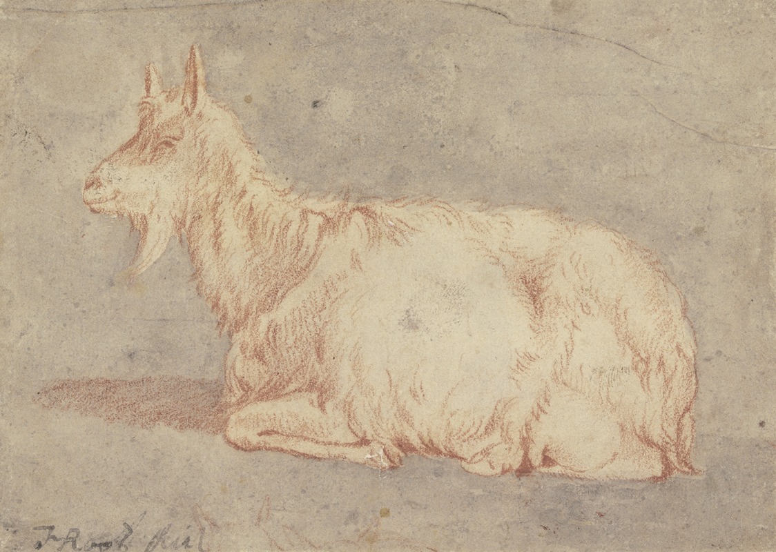 Johann Heinrich Roos - Liegende Ziege nach links