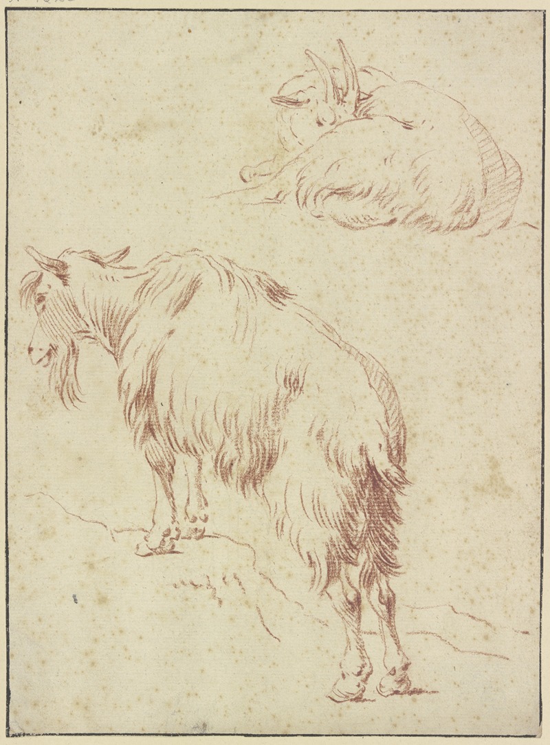Johann Melchior Roos - Eine stehende und eine liegende Ziege
