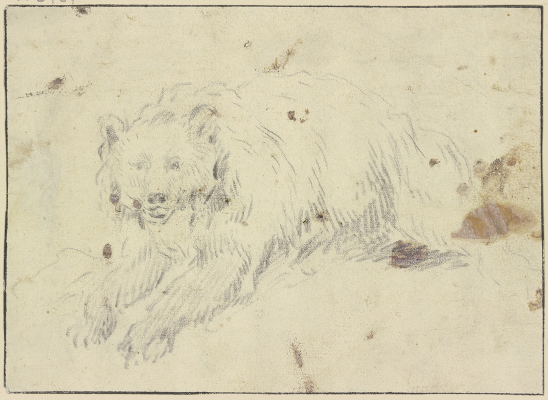 Johann Melchior Roos - Lying bear to the left