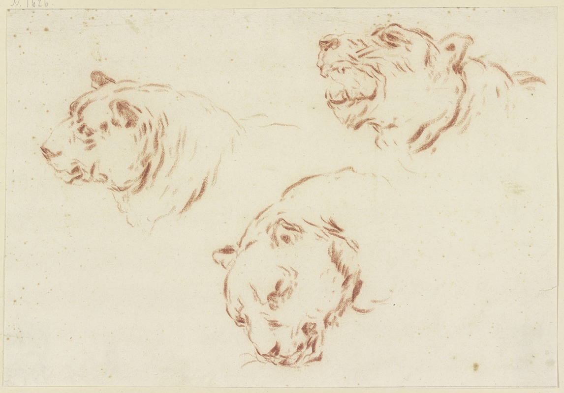Johann Melchior Roos - Three tiger heads