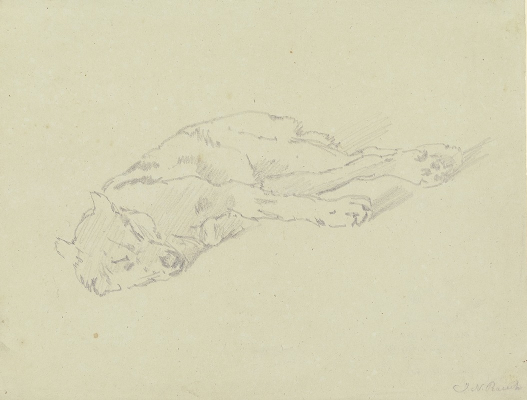 Johann Nepomuk Rauch - Sleeping wolf