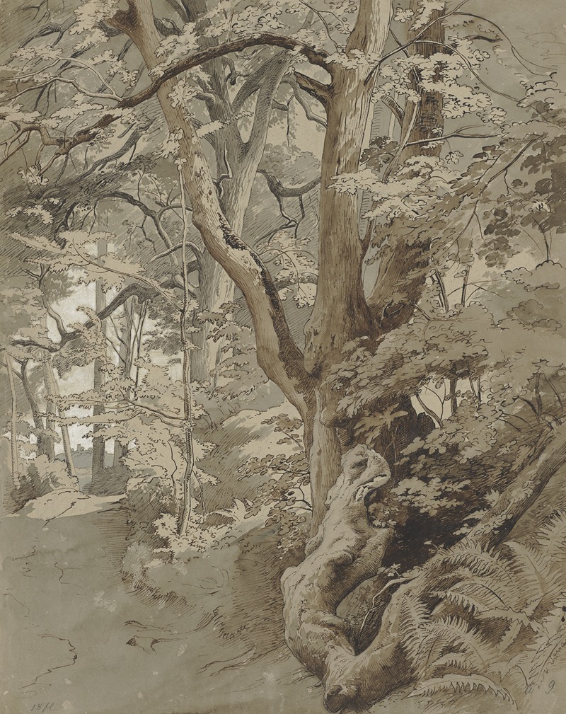 Johann Wilhelm Schirmer - Waldpartie mit einer Eiche und Farnkraut