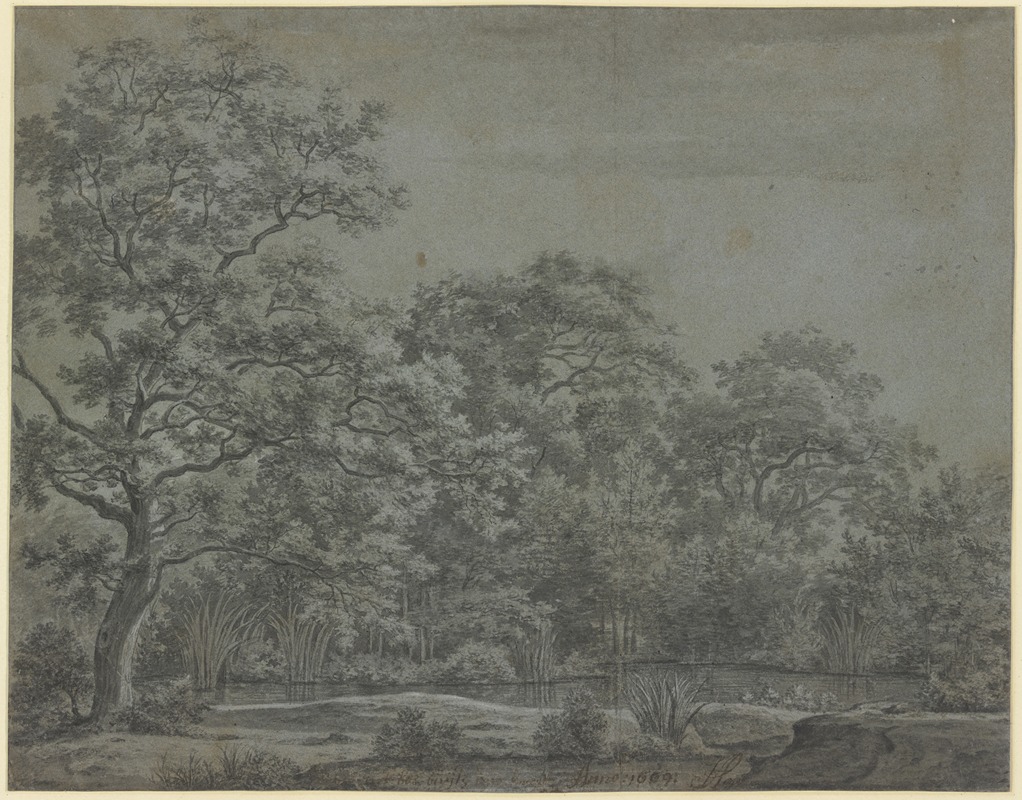 Joris van der Haagen - A pond in the forest