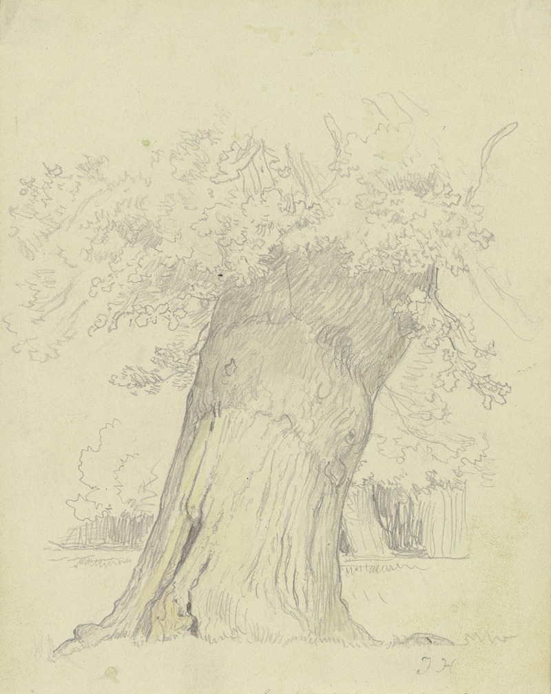 Julius Hamel - Tree