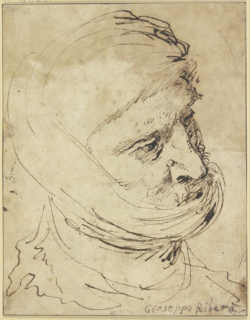 Jusepe de Ribera - Head of a Man with cloth Headdress