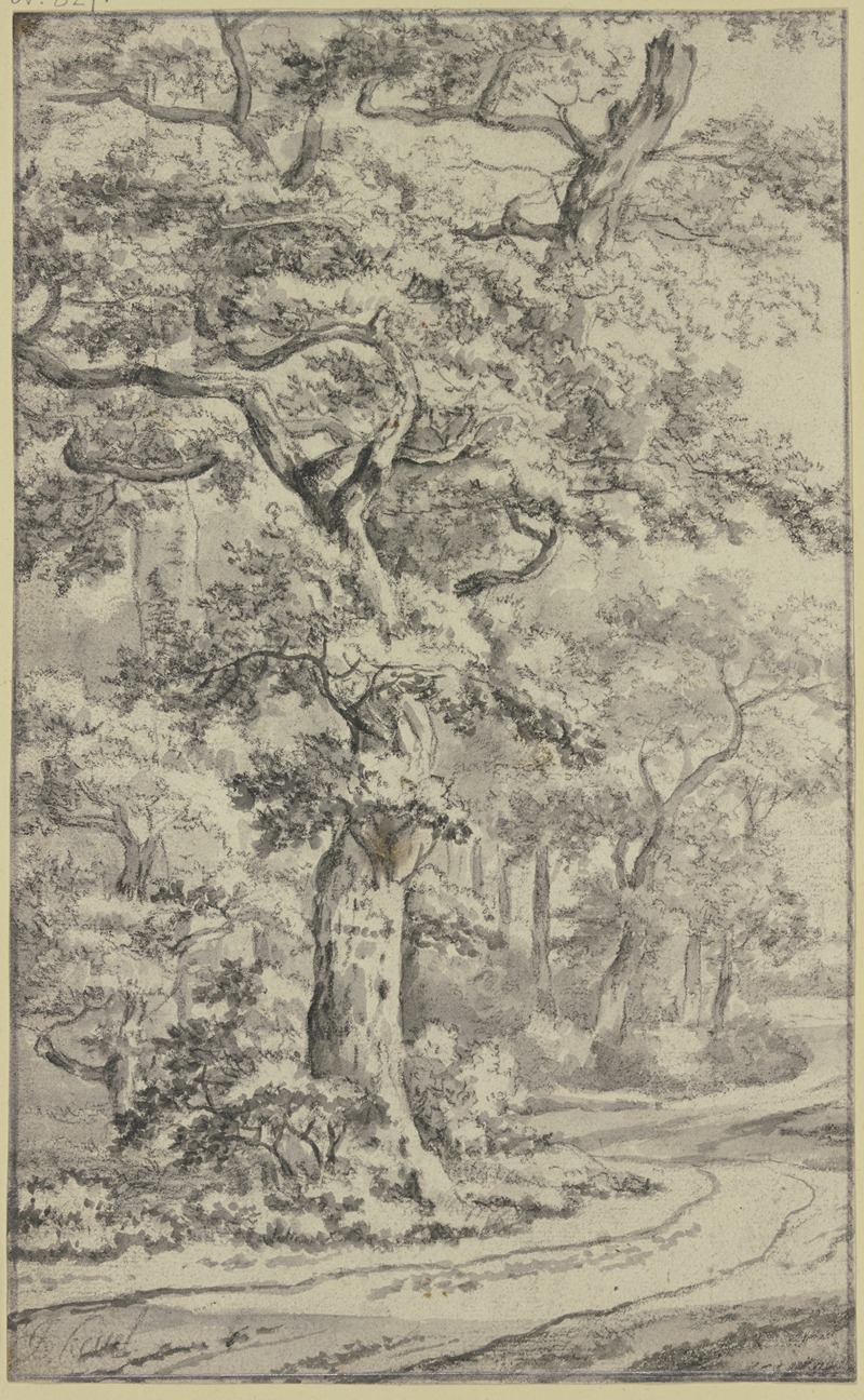 Jan Van Kessel The Elder - Path next to oak trees