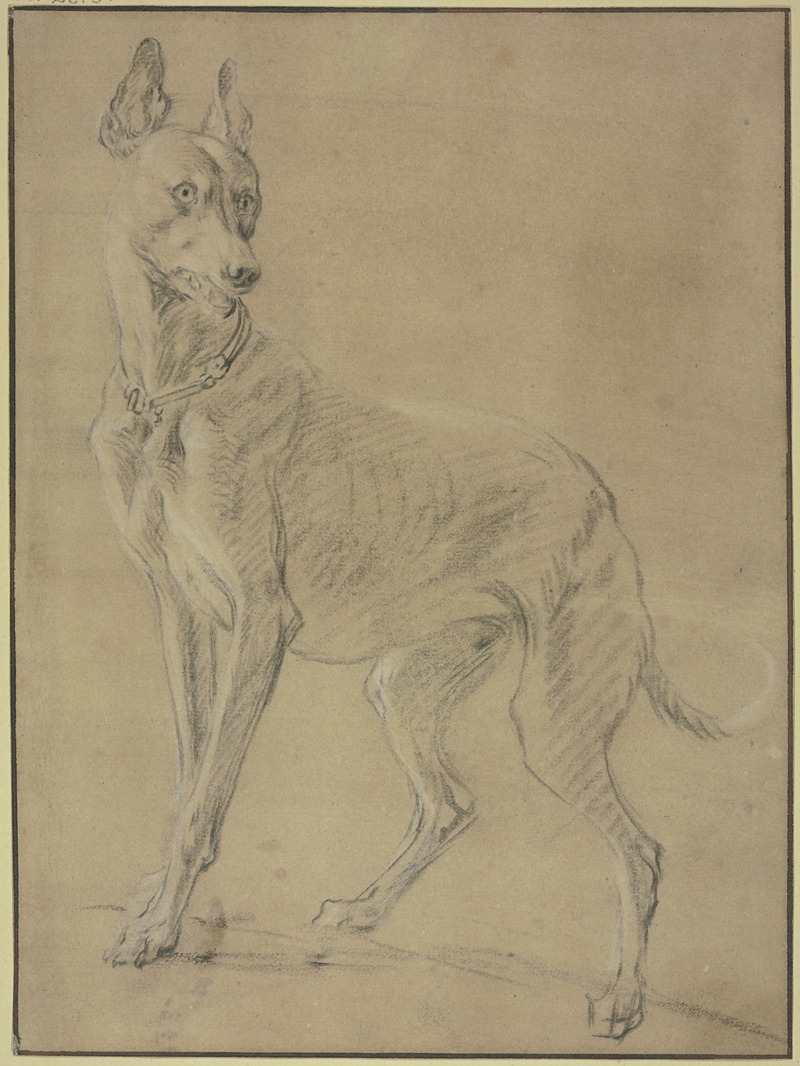 Jan Weenix - Greyhound to the left