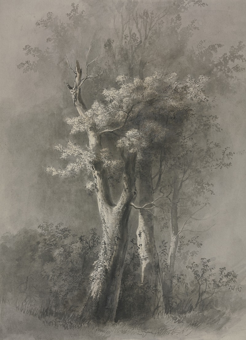 Jean-Jacques de Boissieu - Study of Trees